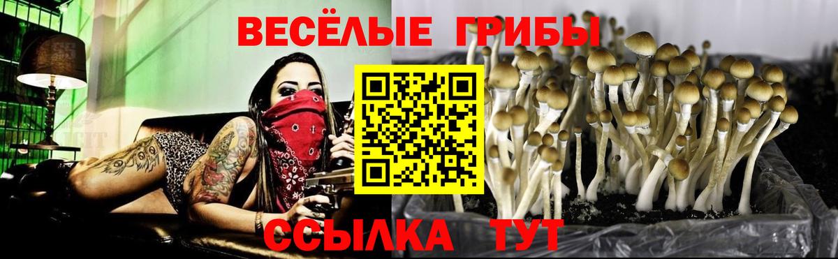 Углич  Галлюциногенные грибы Cubensis  купить наркоту  Вход с VPN 